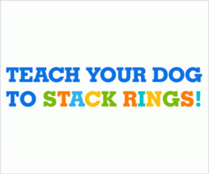 teach-ring-stackers-300x250-a
